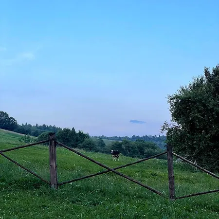 Chalet Stanica Karpacka 4x4 Mohnate